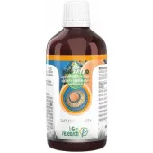 B&M NANOMYKO Liposomalna Formuła na Mykoplazmozę 100 ml 