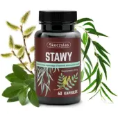 Skoczylas Stawy Kadzidłowiec + Wierzba + Ashwagandha + Sosna 60kapsułek