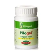 Posch pilogal 70g 270 tabletek galgantowych Hildegarda